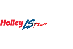 LS Fest Logo
