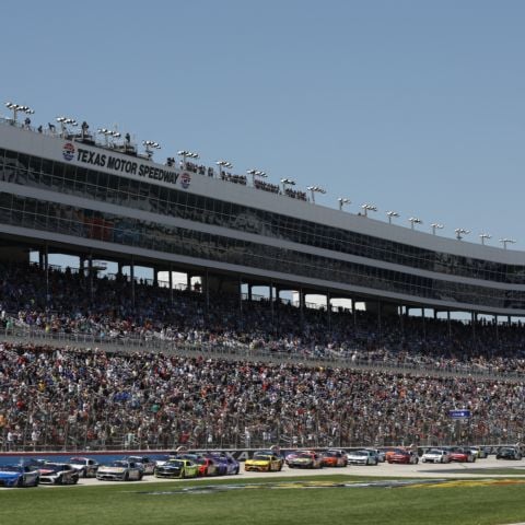 CROWD