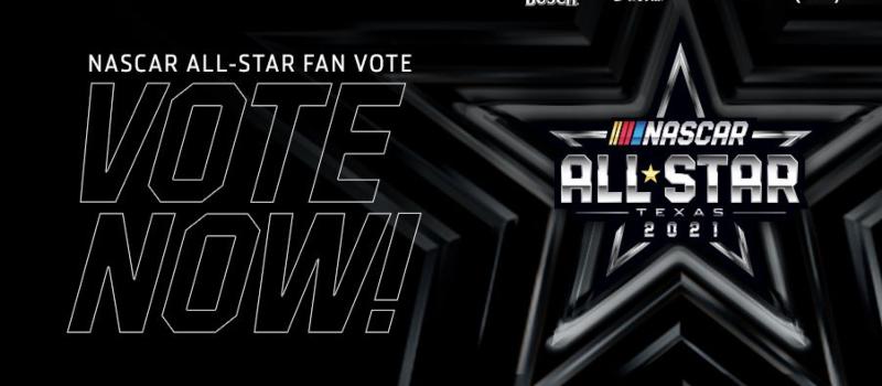 All Star Fan Vote Standard