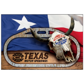 TMS TRACK COW SKULL MAGNET
