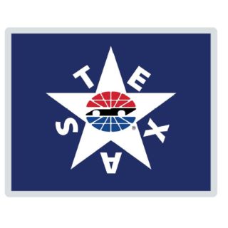 TMS Lone Star Lapel Pin
